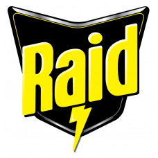 Raid