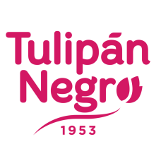 Tulipan Negro