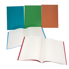 Канцелярська книга  А4 Графіка 96 аркушів офсет скоба КН-4396К клітинка