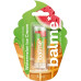 Бальзам для губ Balme Watermelon Ice Cream 5 г