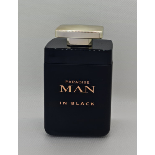 Туалетная вода для мужчин Paradise Man in black 100 мл