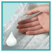 Підгузки Pampers Active Baby midi №3 6-10 кг 82 шт