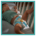 Подгузники Pampers Active Baby junior №5 11-16 кг 60 шт