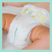 Підгузки Pampers Premium Care midi №3 4-9 кг 60 шт