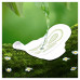Прокладки Naturella Ultra Camomile maxi duo 16 шт