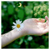 Прокладки Naturella Ultra Camomile night duo 14 шт