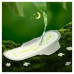 Прокладки Naturella Ultra Camomile night duo 14 шт