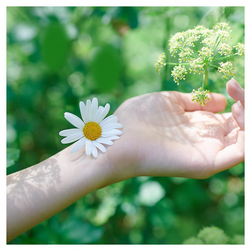 Прокладки Naturella Ultra Camomile normal plus duo 18 шт