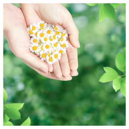 Прокладки Naturella Ultra Camomile normal plus duo 18 шт
