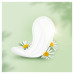Прокладки щоденні Naturella Calendula Tenderness light Trio 52 шт