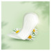 Прокладки ежедневные Naturella Camomile normal Quatro 74 шт