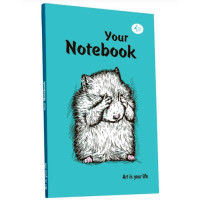 Блокнот Profiplan Artbook A5 mint 64 листа