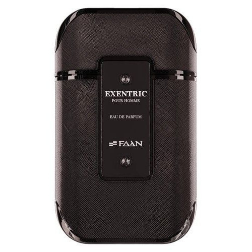 Парфюмированная вода для мужчин  Faan Exentric Pour Homme 100 мл
