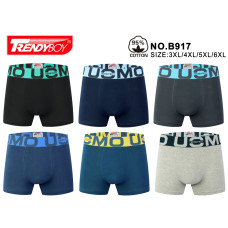 Трусы мужские 4XL Батал В917